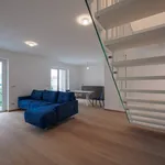 Rent 3 bedroom apartment of 245 m² in Turin