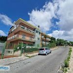 Rent 2 bedroom apartment of 40 m² in Naples