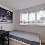 Rent a room in East Of England