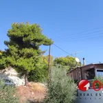 Rent 2 bedroom house of 75 m² in Άγιοι Θεόδωροι