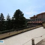 Rent 4 bedroom apartment of 100 m² in Bologna