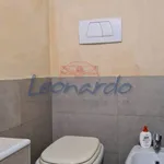 Rent 1 bedroom apartment of 45 m² in Piacenza