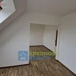 Rent 3 bedroom apartment in Radvanice