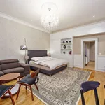 Rent 1 bedroom apartment of 42 m² in Brno