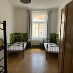 Rent 3 bedroom apartment of 100 m² in Prague