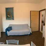 Rent 2 bedroom apartment of 50 m² in Pontedera