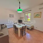 Rent 2 bedroom house of 50 m² in Milazzo