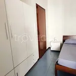 Rent 1 bedroom apartment of 30 m² in Milano