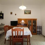 Rent 3 bedroom apartment of 80 m² in Brindisi