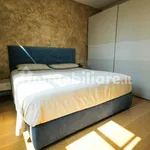 Rent 3 bedroom apartment of 94 m² in Turin