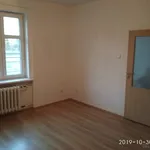 Rent 1 bedroom apartment in Teplice