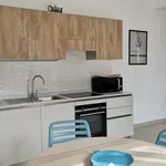 Rent 3 bedroom apartment of 50 m² in Nice