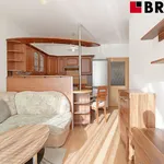 Rent 2 bedroom apartment of 45 m² in Brno