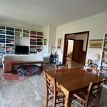 Rent 7 bedroom apartment of 145 m² in Firenze