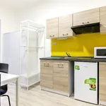 Rent 1 bedroom apartment in Brno