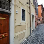 Rent 1 bedroom apartment in Rome