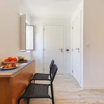 Rent 4 bedroom apartment in Lisbon