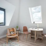 Steynlaan, Zeist - Amsterdam Apartments for Rent