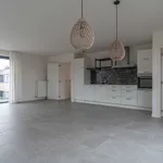 Rent 1 bedroom apartment in Turnhout