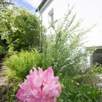 “LASS DIE SONNE REIN” – GARTENWOHNUNG IN ST.PÖLTEN