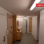 Rent 2 bedroom apartment of 50 m² in Zlín