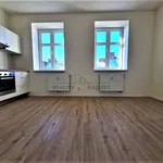 Rent 1 bedroom apartment in Brno