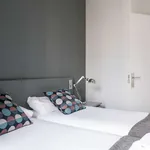 Rent 1 bedroom apartment in madrid