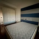 Rent 3 bedroom apartment of 100 m² in Modena