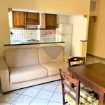 Rent 2 bedroom apartment of 56 m² in Roma