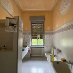 Rent 10 bedroom house of 450 m² in Codogno