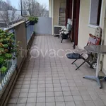 Rent 2 bedroom apartment of 55 m² in Portogruaro