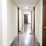 Rent 1 bedroom apartment of 38 m² in madrid