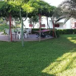 Rent 3 bedroom house of 100 m² in Condofuri