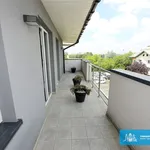 Rent 3 bedroom apartment of 50 m² in Rzeszów