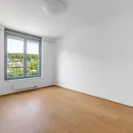 Rent 4 bedroom apartment of 109 m² in Prague