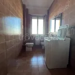 Rent 1 bedroom apartment of 45 m² in Piacenza