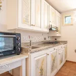 Rent 3 bedroom apartment of 65 m² in Pisa