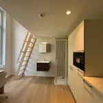 Rent 1 bedroom apartment in Leuven