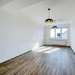 Rent 2 bedroom apartment of 50 m² in Dýšina