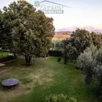 Rent 9 bedroom house of 315 m² in Capalbio