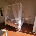 2-room flat excellent condition, ground floor, Olmo, Santa Caterina, Falcinello, Sarzana