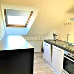 Rent 1 bedroom apartment of 45 m² in Novara