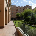 Rent a room in madrid