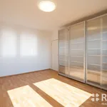 Rent 4 bedroom apartment of 89 m² in Brno