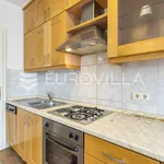 Rent 4 bedroom apartment of 170 m² in Zagreb