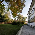 Rent 1 bedroom apartment of 35 m² in Udine