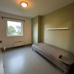 Rent 1 bedroom apartment of 10 m² in Trondheim