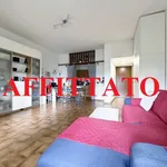 Rent 1 bedroom apartment of 45 m² in Monza