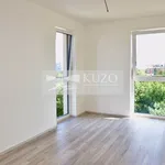 Pronajměte si 1 ložnic/e byt o rozloze 34 m² v Pilsen