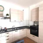 Rent 3 bedroom apartment of 90 m² in Paliano